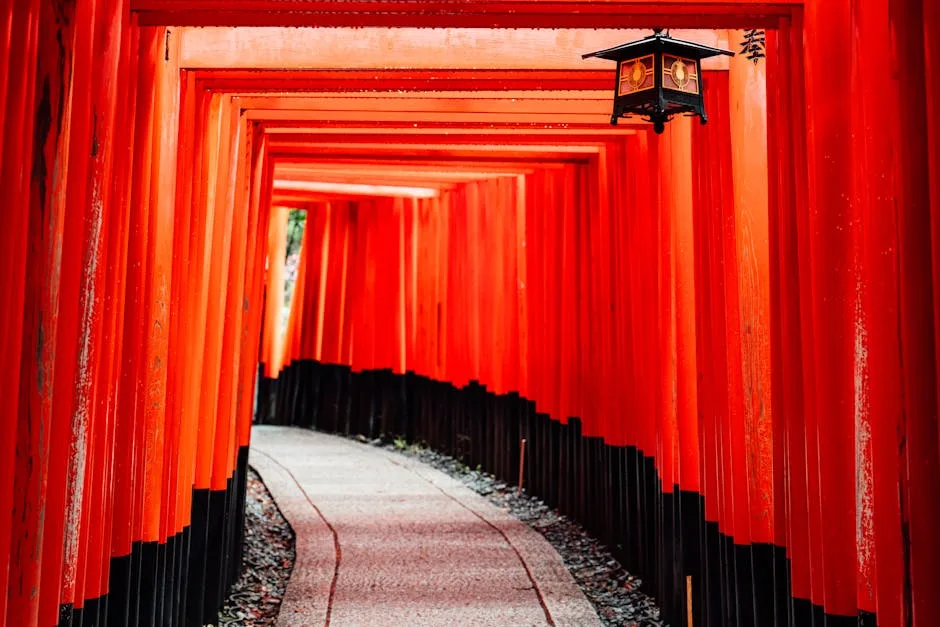 Complete Guide Visiting Kyoto 2026