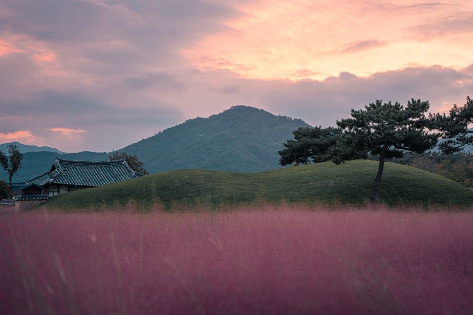 Gyeongju Travel Guide: The Logistics Most Guides Skip (Bikes, Tombs & Night Views)