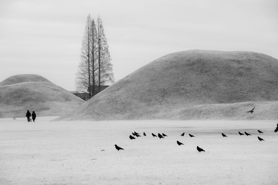Tumuli Park: Don't Just Walk Around the Outside