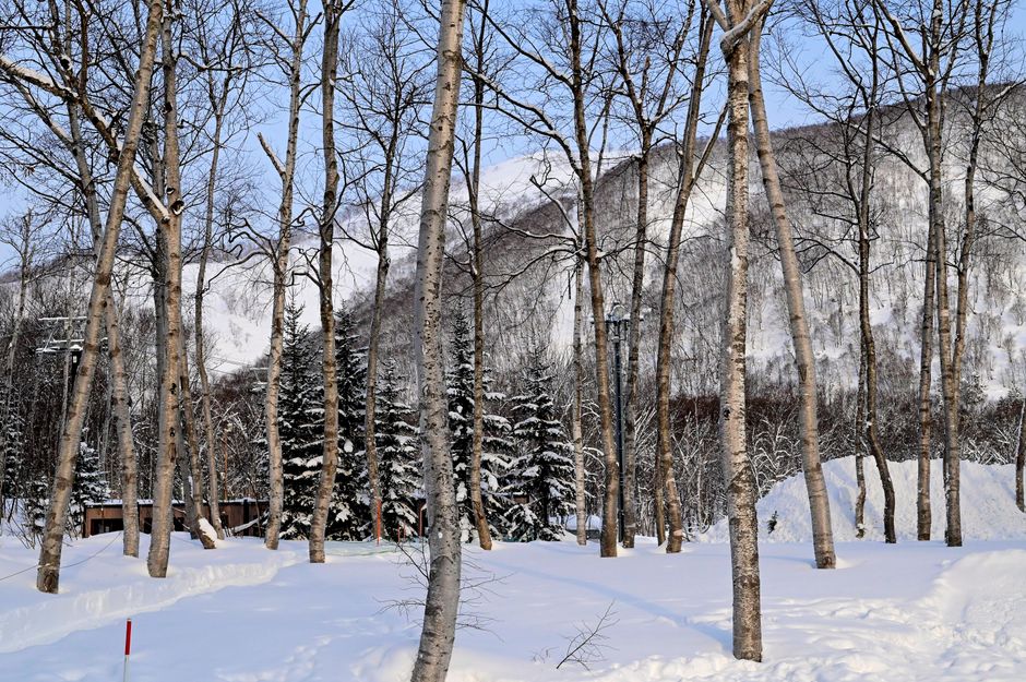 Why Niseko Gets So Much Snow