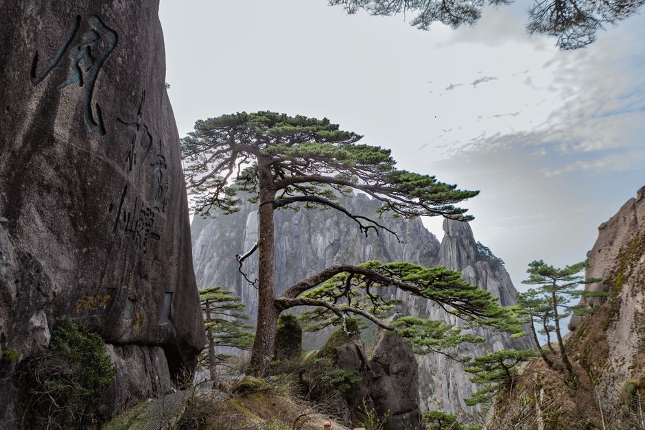 Huangshan Yellow Mountain Guide