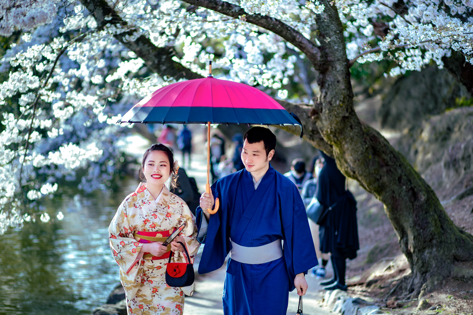 Japan Cherry Blossom Forecast 2026