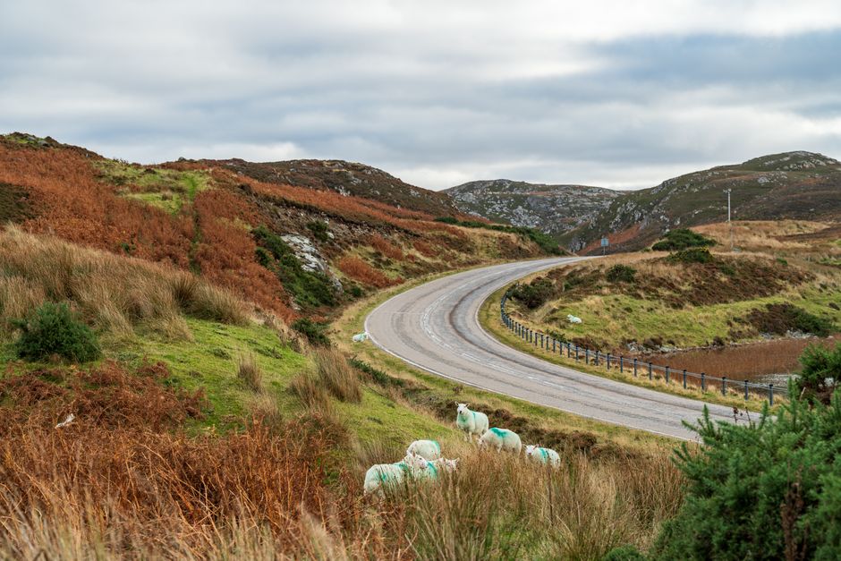 The Lugard Road-Harlech Road Circular Walk: The Free Alternative Almost Nobody Takes